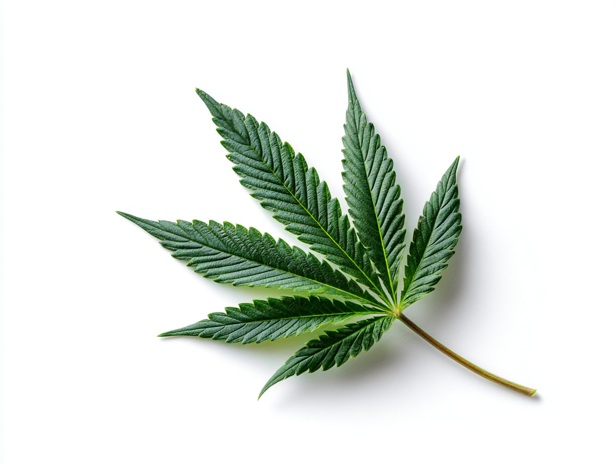 Schedule III Cannabis & Pennsylvania: What Actually Changes?